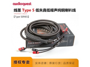 AQ线圣TYPE 5喇叭线纯铜音响AudioQuest功放连接线原装专业音箱线